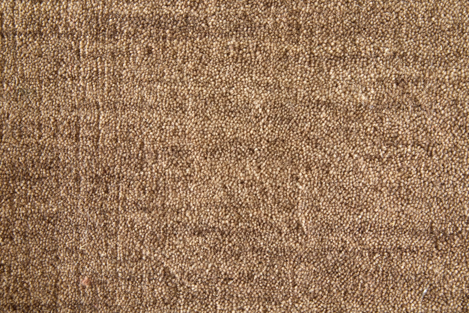 Takano Beige 8' x 11' Rug - Thumbnail - Image 3