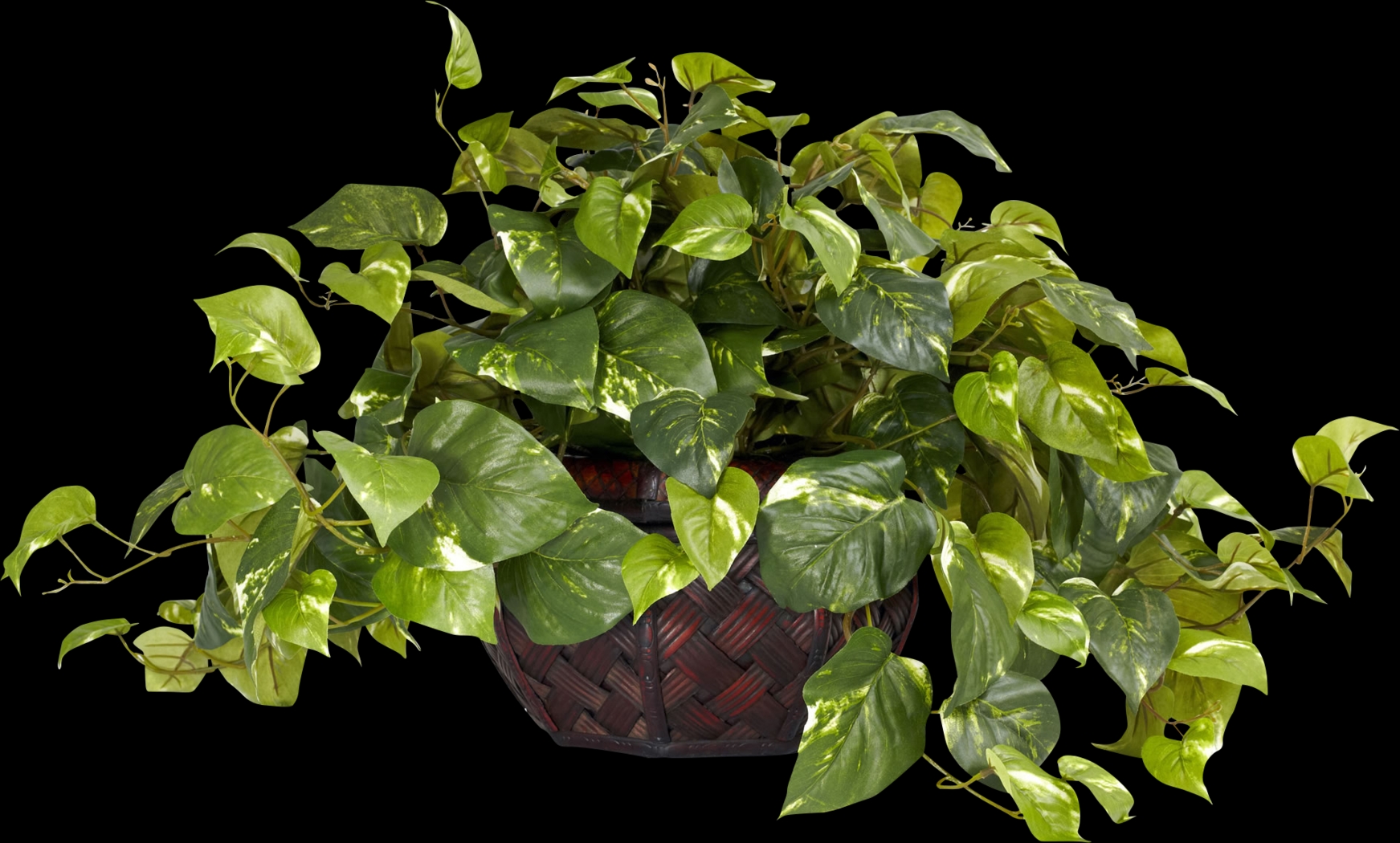 Taleah Green Pothos Silk Plant - Thumbnail - Image 1