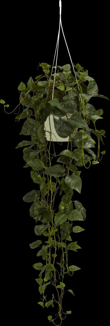 Tamsyn Green Philodendron Silk Plant - Thumbnail - Image 1