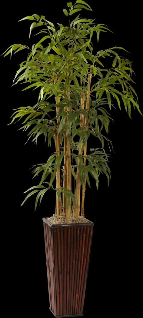 Tayna Green Bamboo Silk Tree - Thumbnail - Image 1