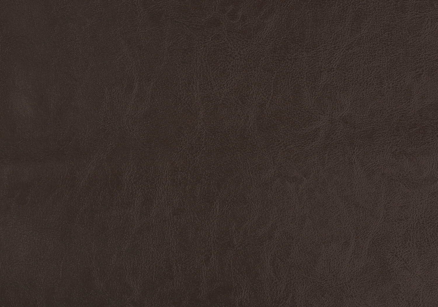 Teegreen Brown Dining Chair, Set of 2 - Thumbnail - Image 5