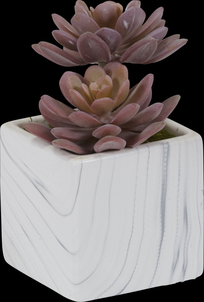Teirrah Pink Echeveria Silk Plant - Thumbnail - Image 1