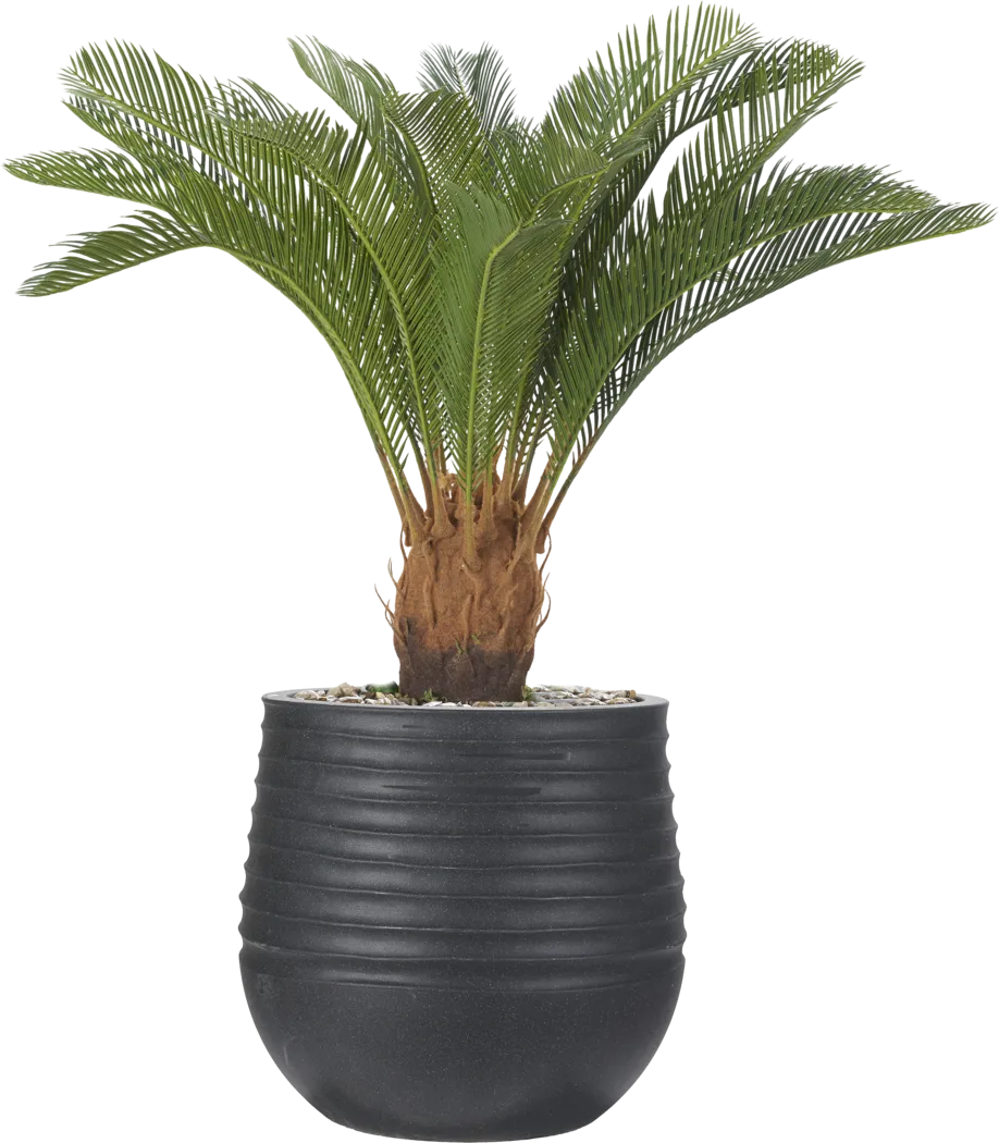 Terralis 38 in. Green UV Artificial Palm Plant in Black Planter - Thumbnail - Image 1