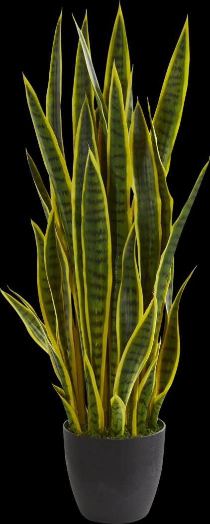 Tiesha Green Sansevieria Silk Plant - Thumbnail - Image 1