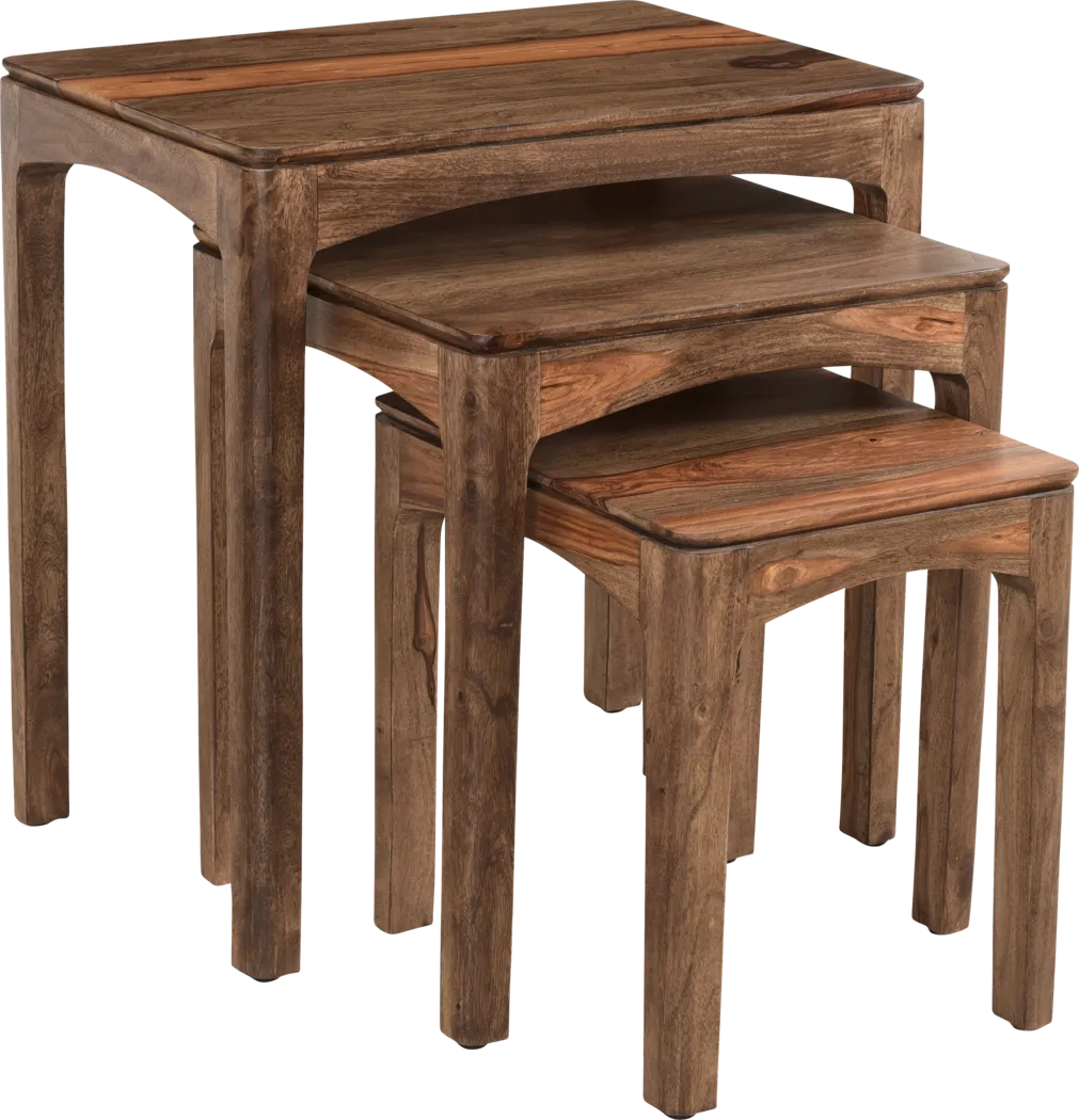 Tinmouth Brown Nesting Tables Set of 3 - Thumbnail - Image 1