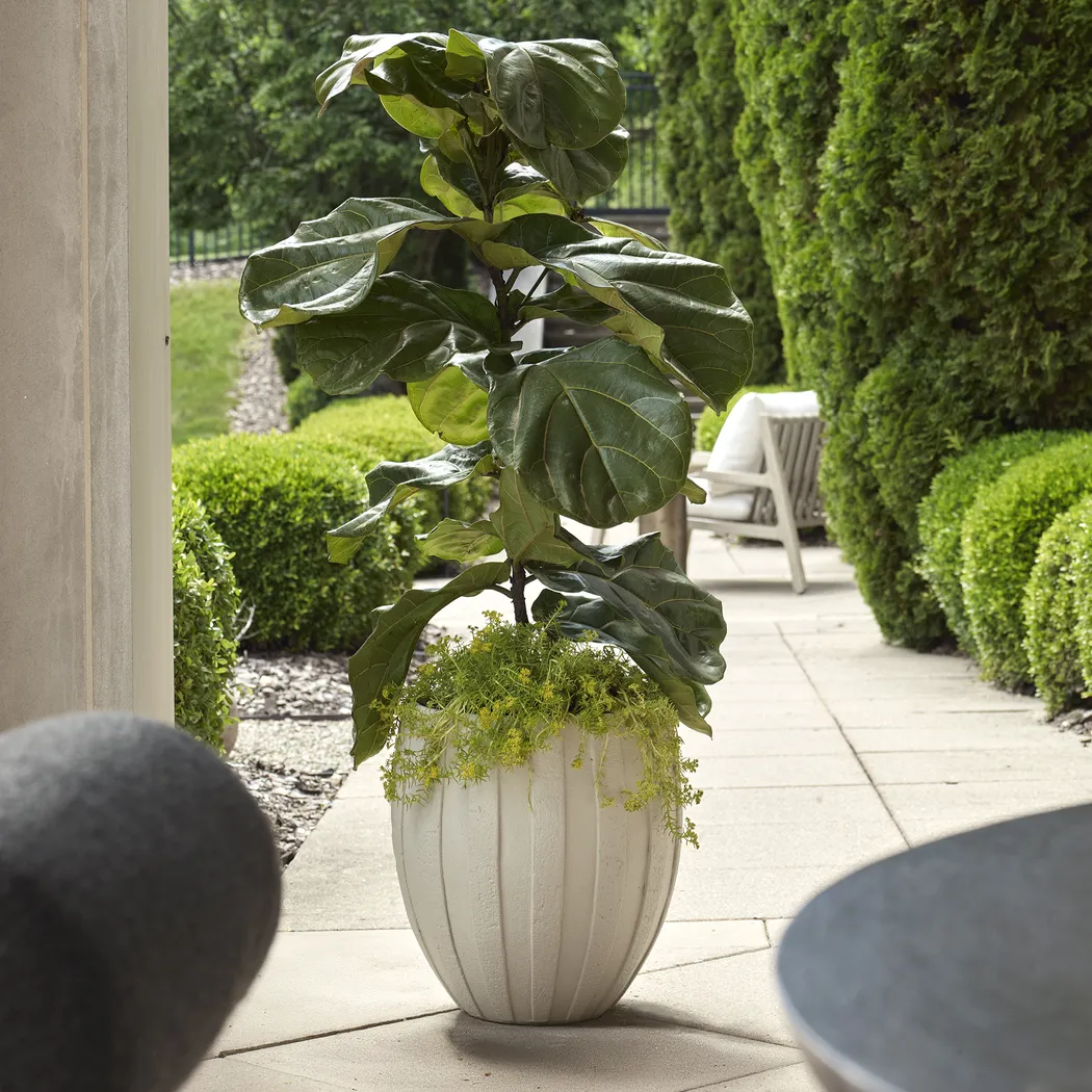Tirsu White Outdoor Planter - Thumbnail - Image 4