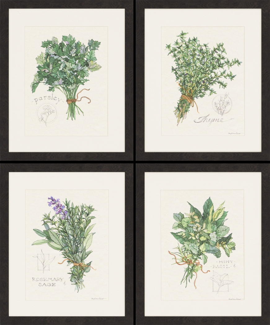 Traditional Herbs Artwork, Set of 4 - Thumbnail - Image 1