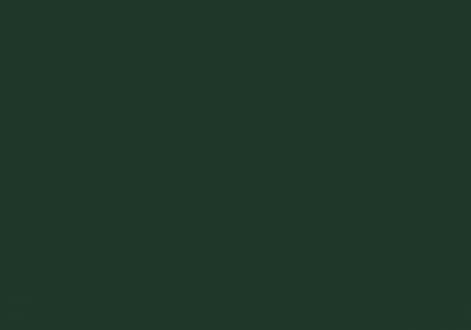 Troland Green Twin Bed - Thumbnail - Image 3