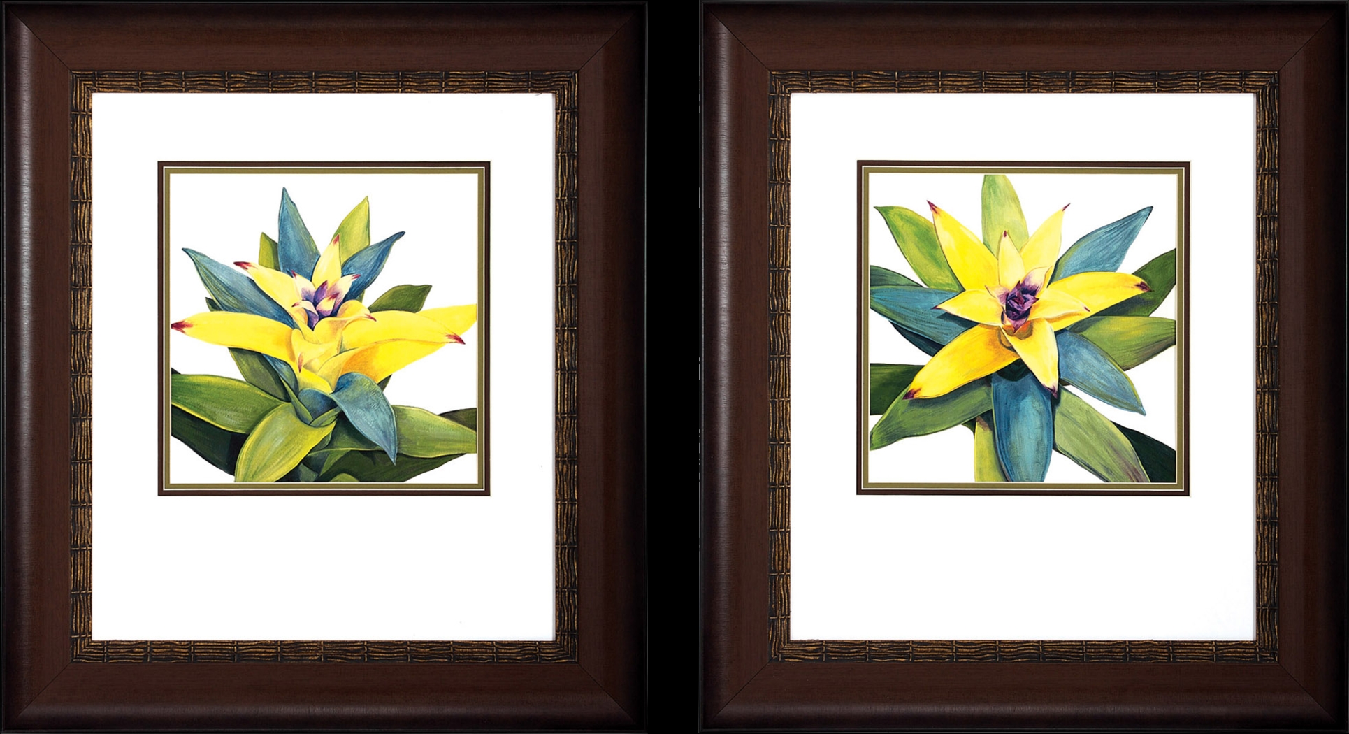 Tropical Bloom Set of 2 Artwork - Thumbnail - Image 1