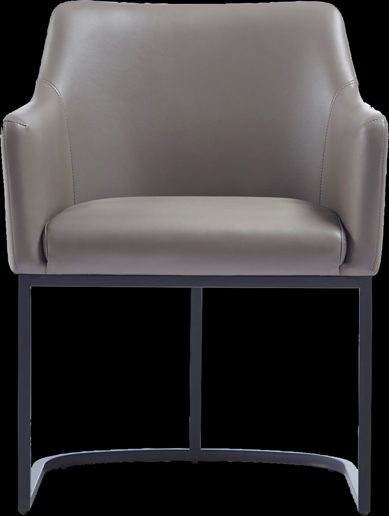 Truche Gray Arm Chair - Thumbnail - Image 1
