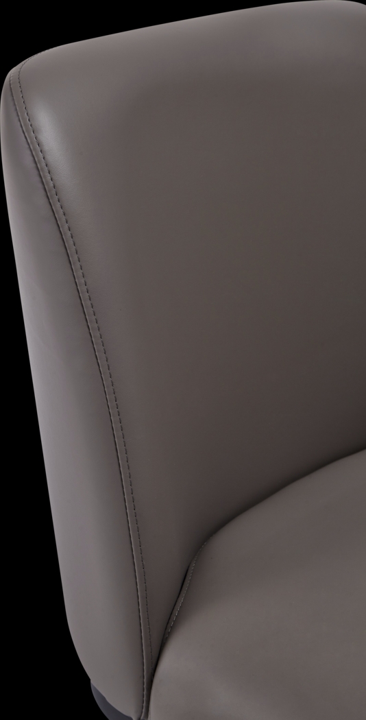 Truche Gray Side Chair - Thumbnail - Image 7
