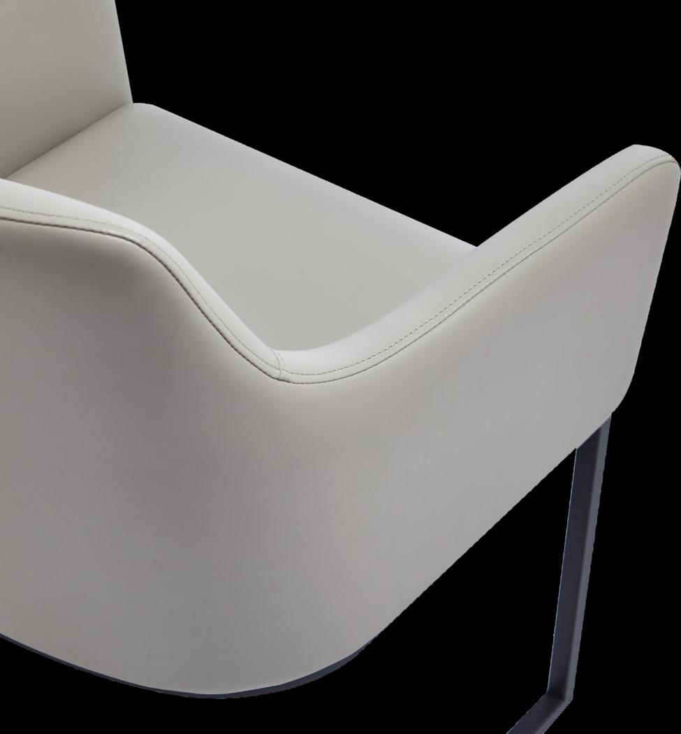 Truche Light Gray Arm Chair - Thumbnail - Image 3