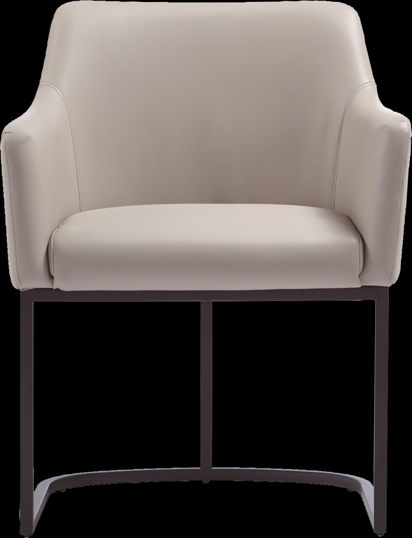Truche Light Gray Arm Chair - Thumbnail - Image 1