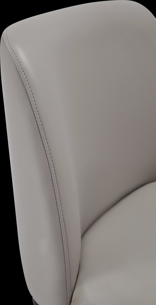 Truche Light Gray Side Chair - Thumbnail - Image 6