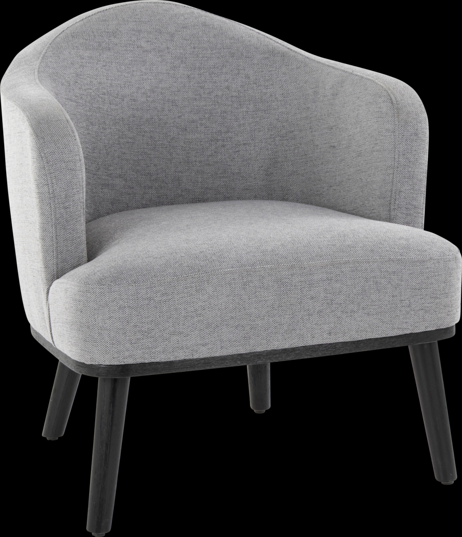 Tumpkins Gray Accent Chair - Thumbnail - Image 1