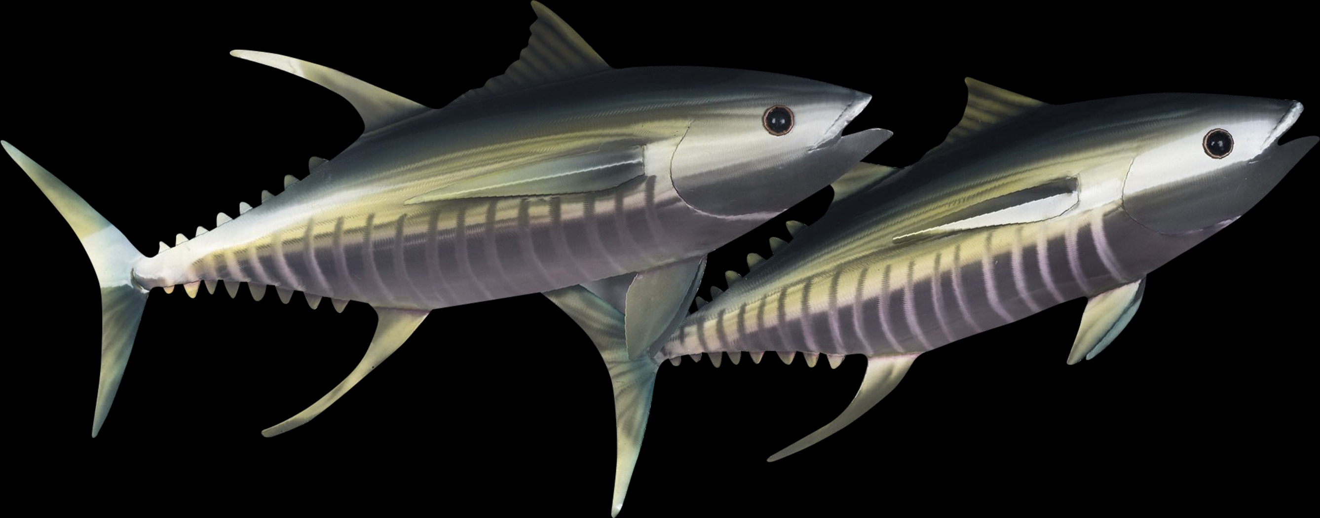 Tuna Pair Silver Indoor/Outdoor Wall Art - Thumbnail - Image 1