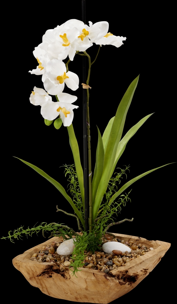 Tyrese White Orchid Silk Flower Arrangement - Thumbnail - Image 1