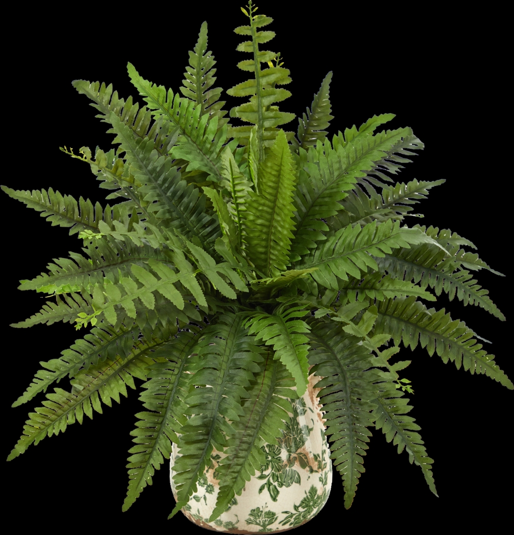 Uccelli Green Plant with Ceramic Planter - Thumbnail - Image 1