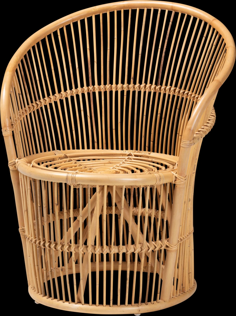 Uraia Brown Accent Chair - Thumbnail - Image 1