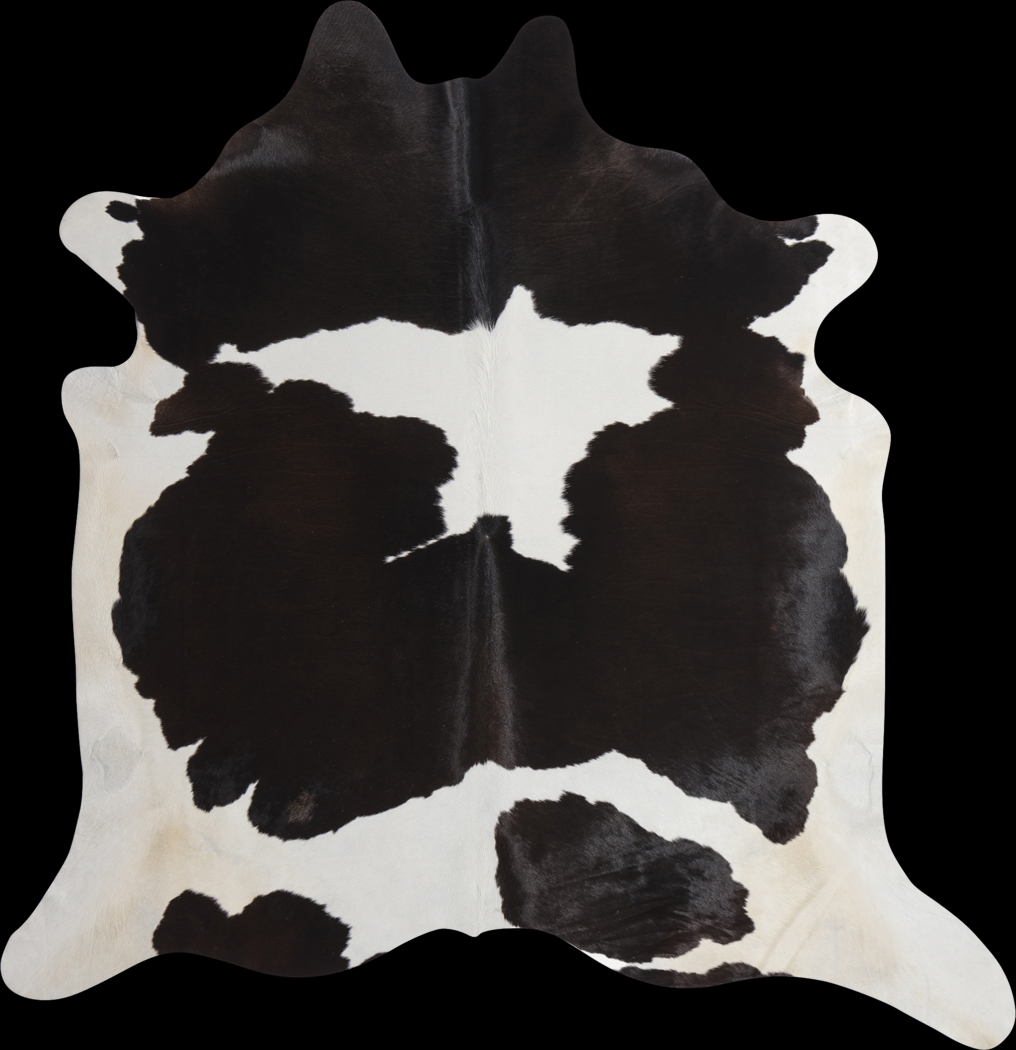 Usama Black 5' x 6'6 Rug - Thumbnail - Image 1