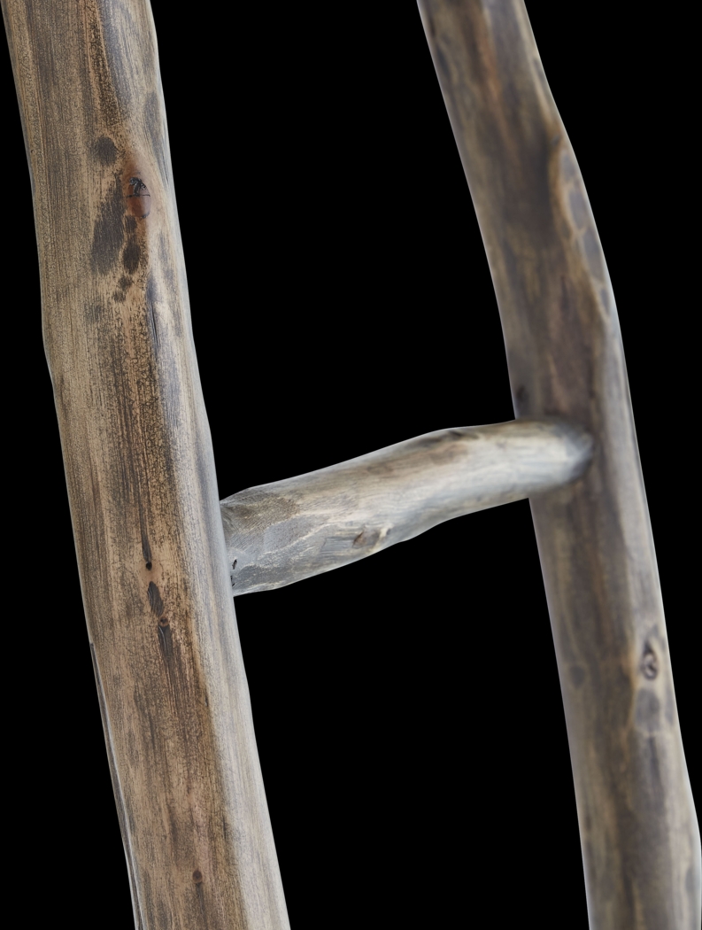 Vawter Tan Decorative Ladder - Thumbnail - Image 3