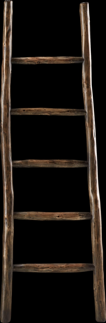 Vawter Tan Decorative Ladder - Thumbnail - Image 1
