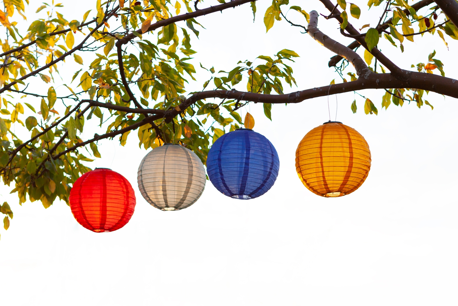 Vense Island Outdoor Blue Solar Lantern - Thumbnail - Image 13