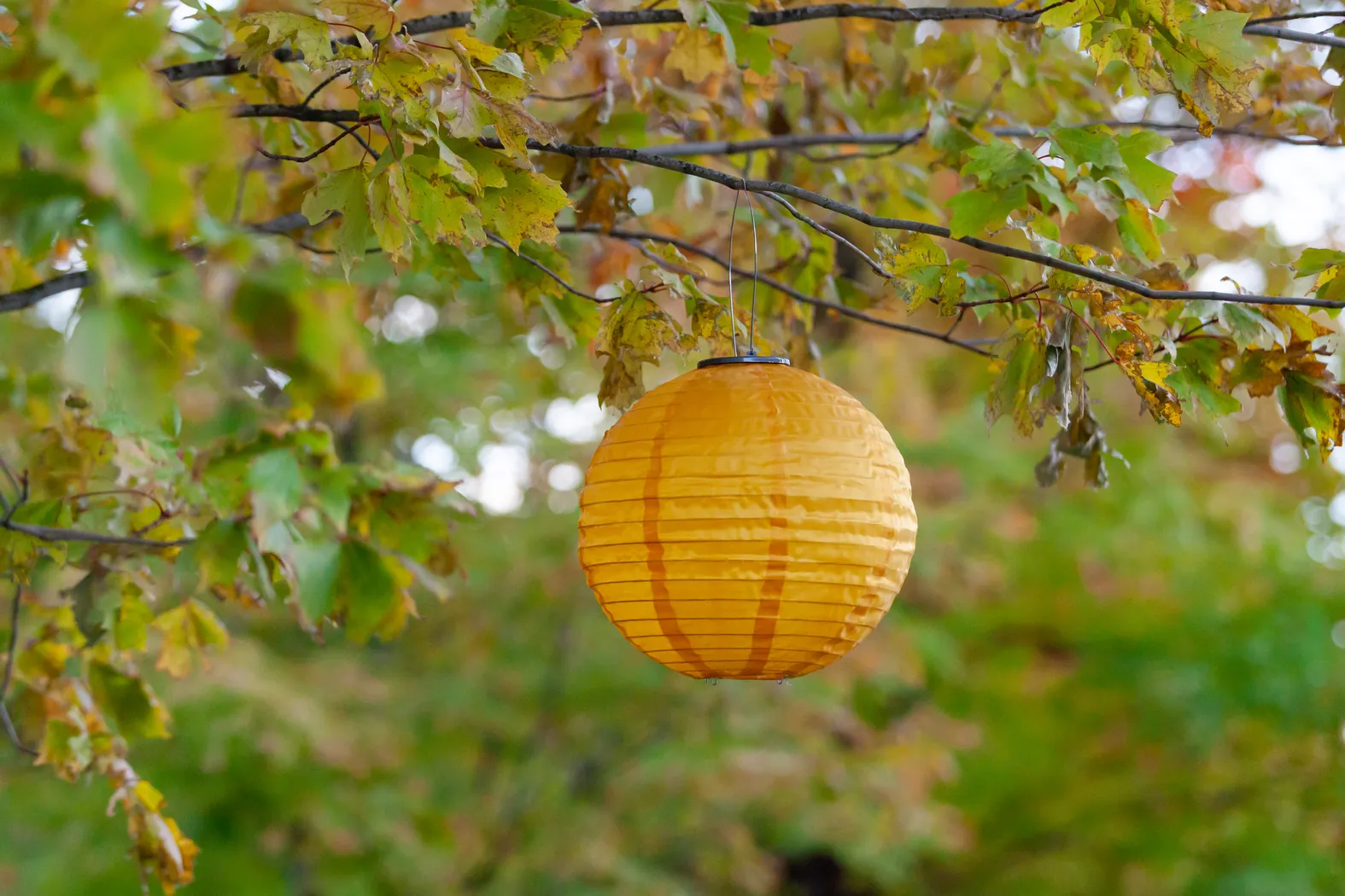 Vense Island Outdoor Yellow Solar Lantern - Thumbnail - Image 2