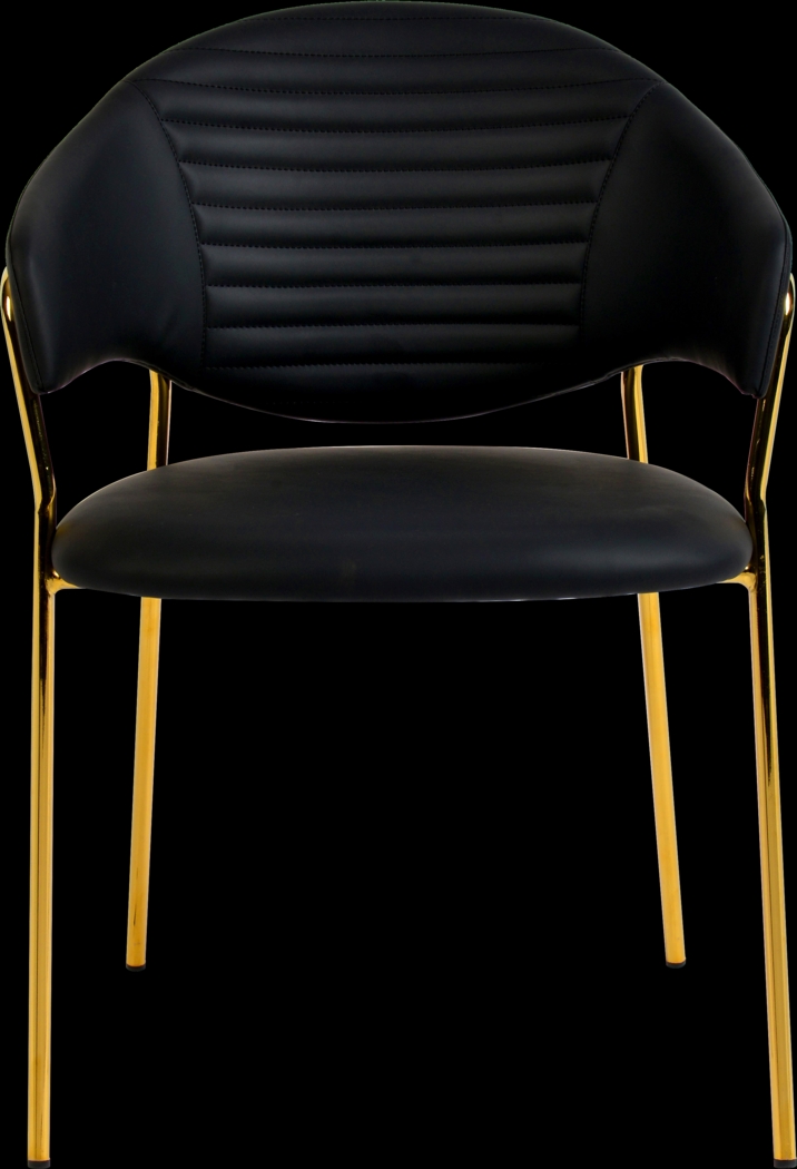 Ventris Black Arm Chair, Set of 2 - Thumbnail - Image 3