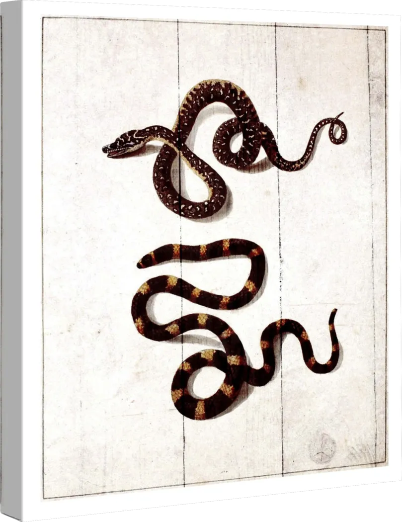 Vicious Friends White Artwork - Thumbnail - Image 2