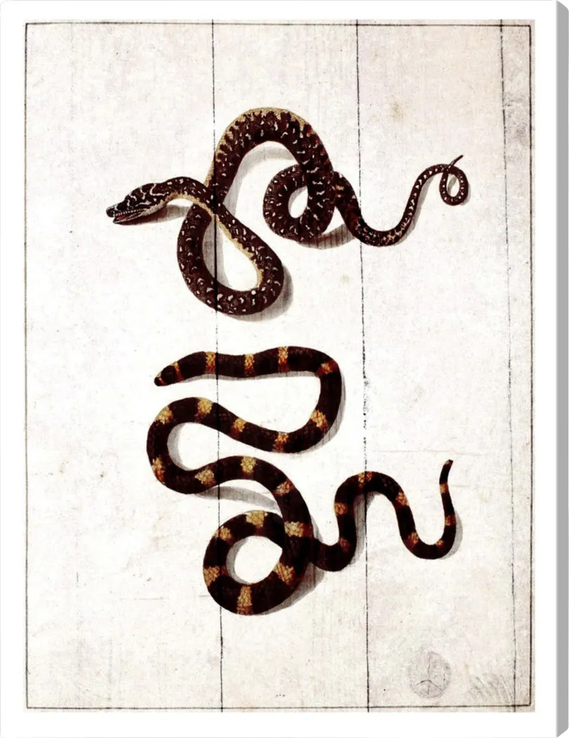 Vicious Friends White Artwork - Thumbnail - Image 1