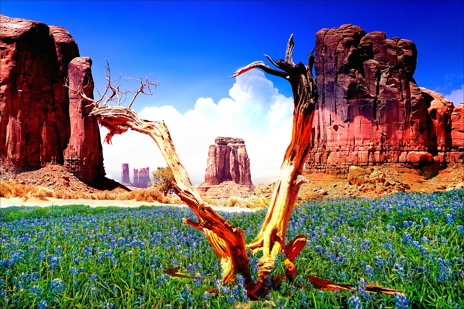 Viewesta Green Artwork - Thumbnail - Image 1