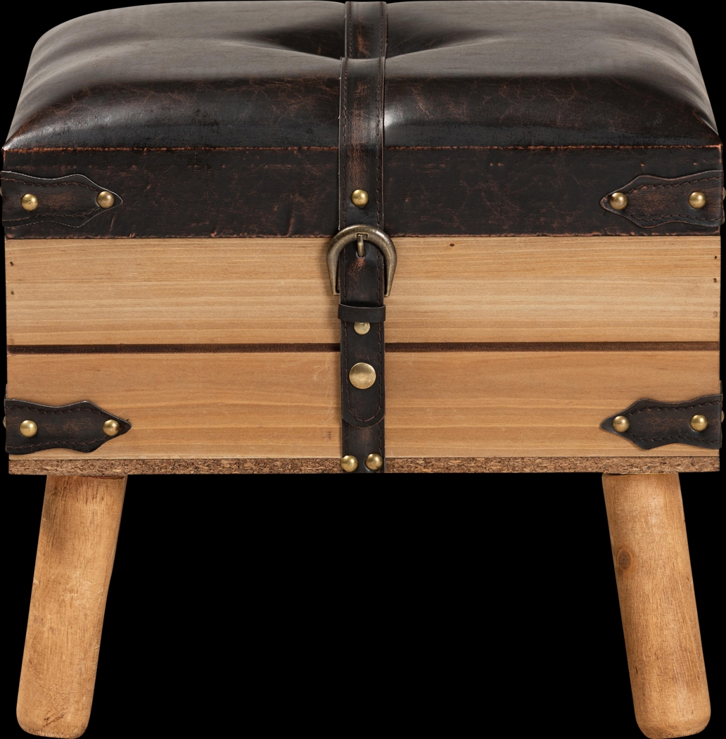 Voisin Brown Storage Ottoman - Thumbnail - Image 3