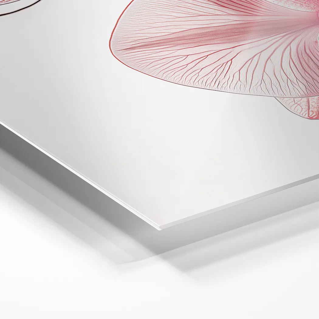 Volana I Red Artwork - Thumbnail - Image 2