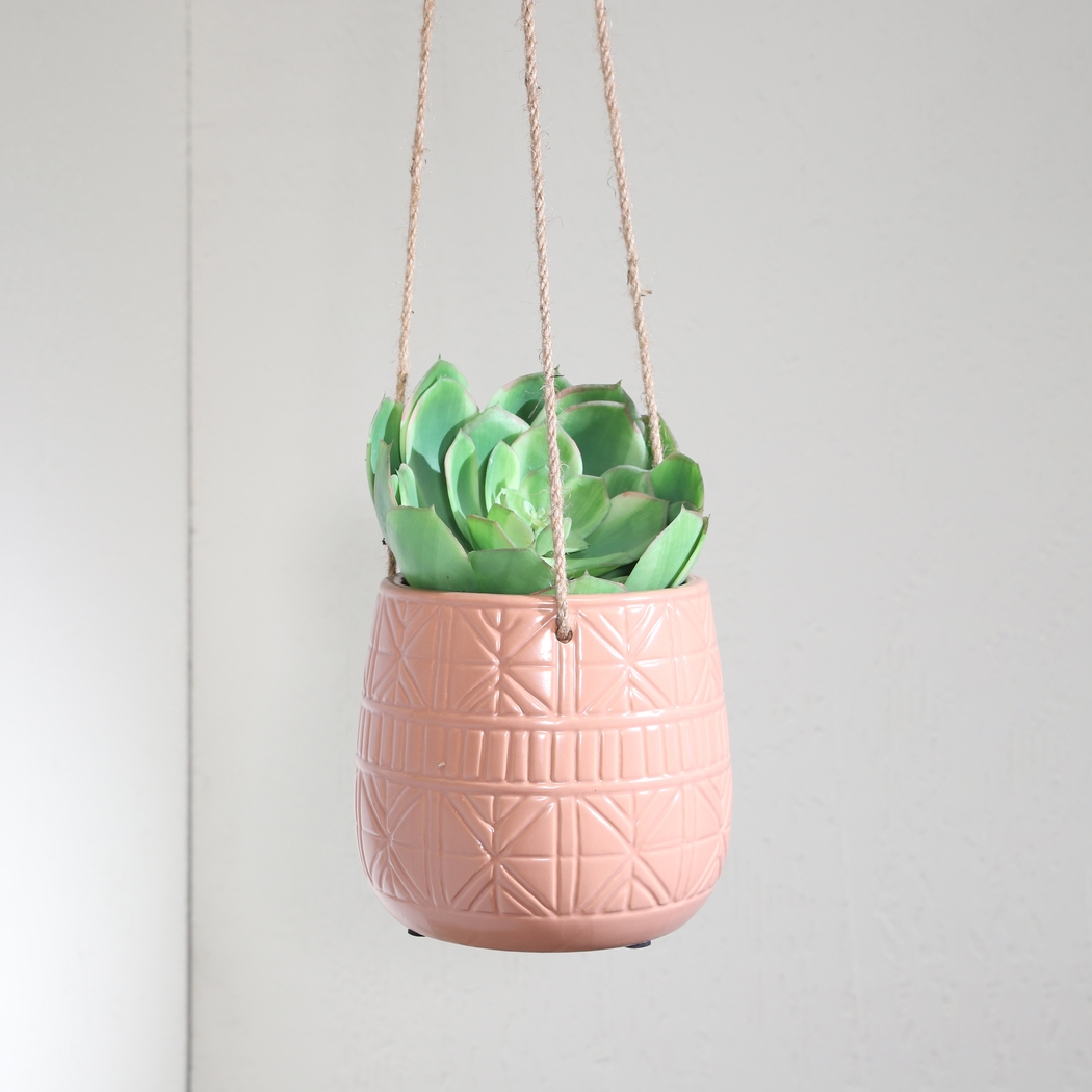 Waholstrom II Pink Hanging Planter - Thumbnail - Image 2