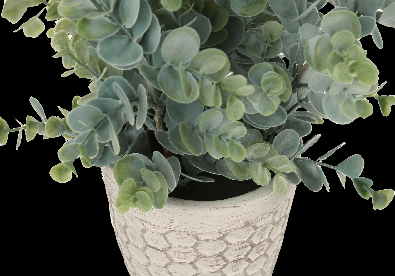 Waterberg Green Artificial Eucalyptus Plant, Set of 2 - Thumbnail - Image 3