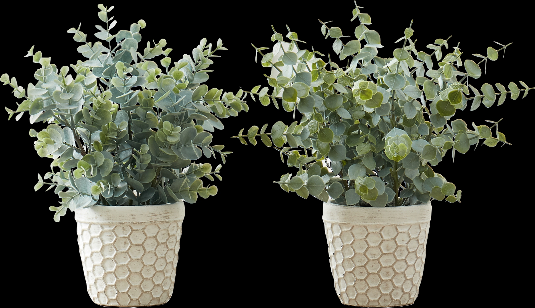 Waterberg Green Artificial Eucalyptus Plant, Set of 2 - Thumbnail - Image 1