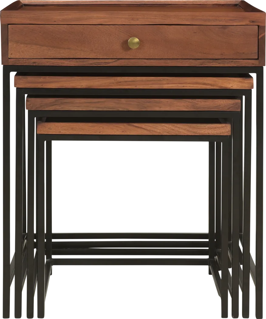 Waterston Brown Nesting Tables Set of 4 - Thumbnail - Image 2