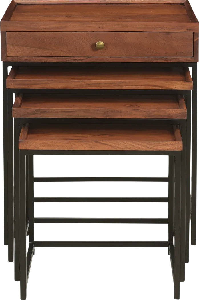 Waterston Brown Nesting Tables Set of 4 - Thumbnail - Image 3