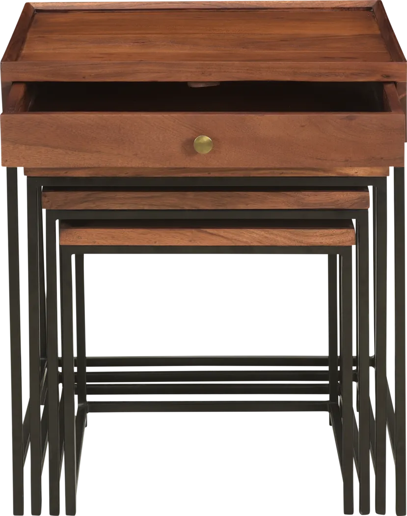 Waterston Brown Nesting Tables Set of 4 - Thumbnail - Image 4