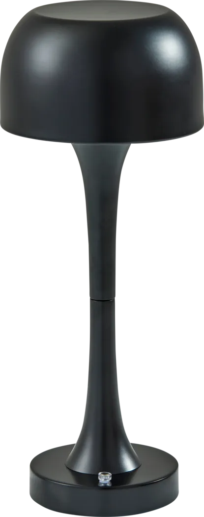 Watko Creek Black Lamp - Thumbnail - Image 1