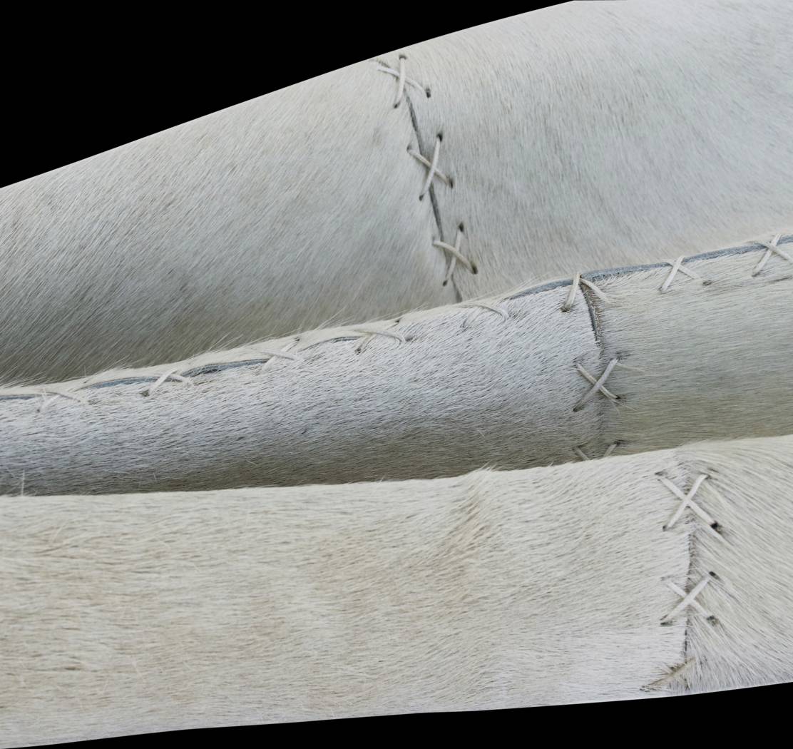 Wayvedew Ivory Lumbar Pillow - Thumbnail - Image 3