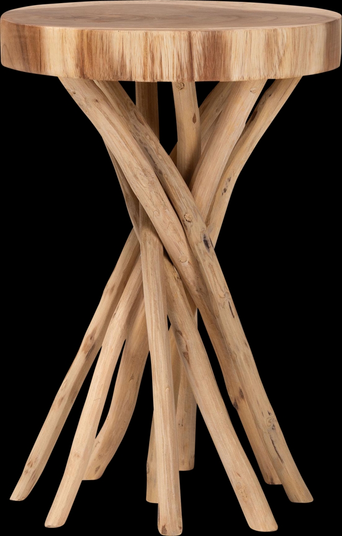 Wegman Brown End Table - Thumbnail - Image 1