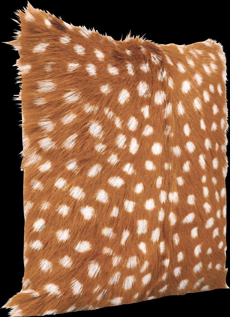 Wilaneta I Brown Accent Pillow - Thumbnail - Image 2