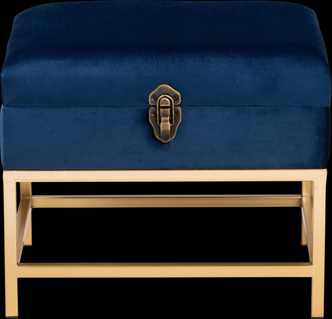 Wiltz Blue Storage Accent Ottoman - Thumbnail - Image 3