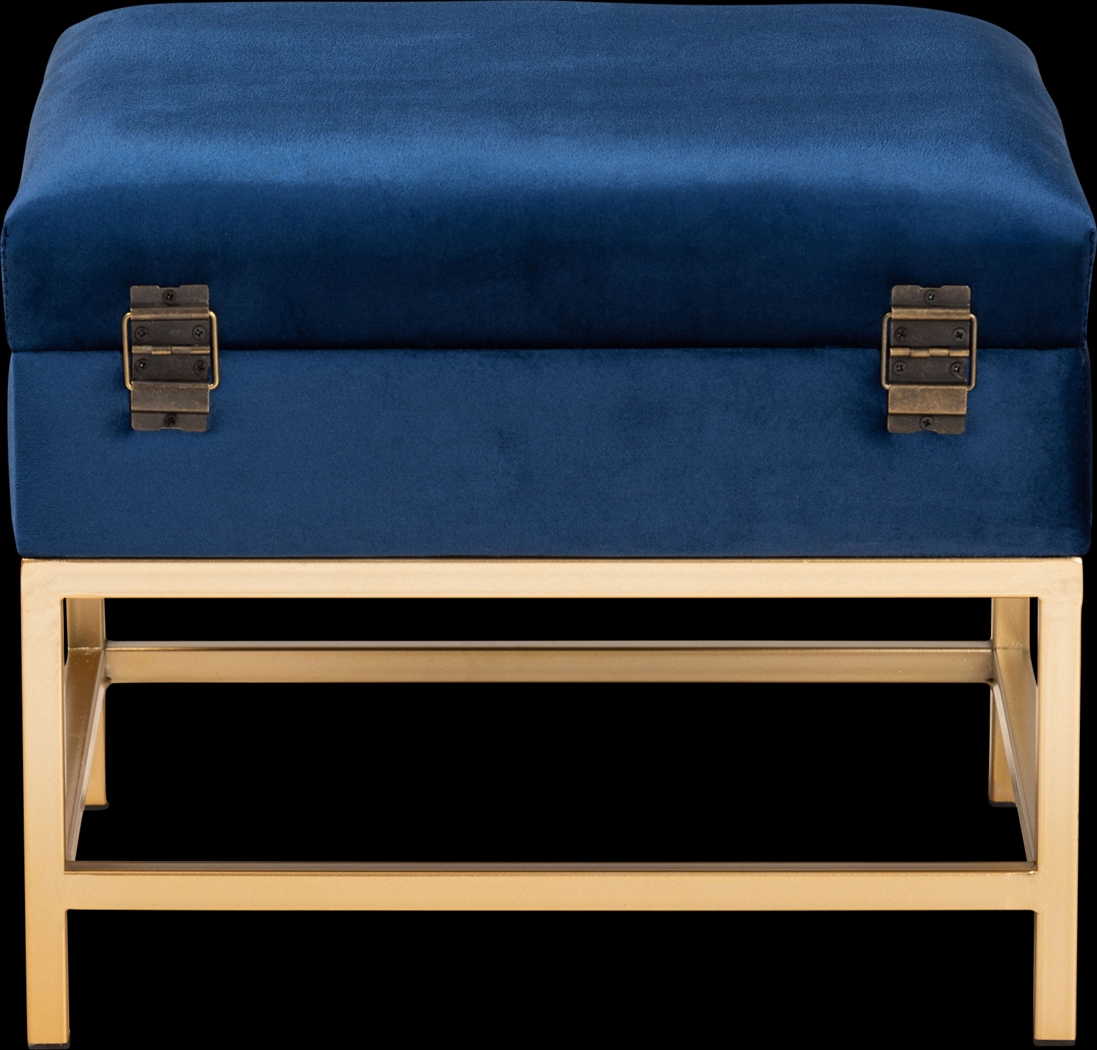 Wiltz Blue Storage Accent Ottoman - Thumbnail - Image 5