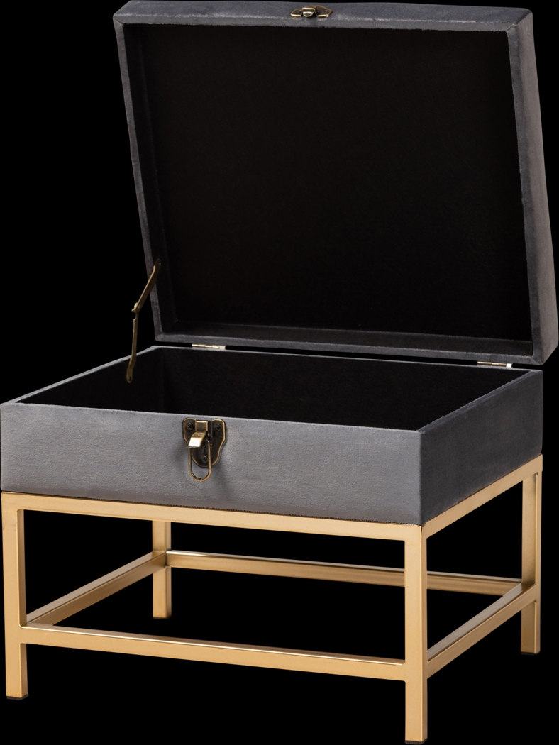 Wiltz Gray Storage Accent Ottoman - Thumbnail - Image 2