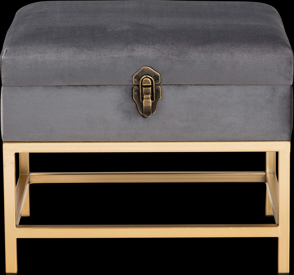 Wiltz Gray Storage Accent Ottoman - Thumbnail - Image 3