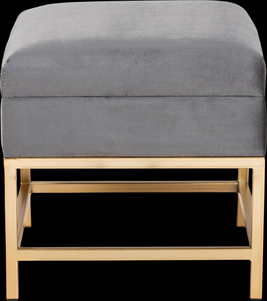 Wiltz Gray Storage Accent Ottoman - Thumbnail - Image 4