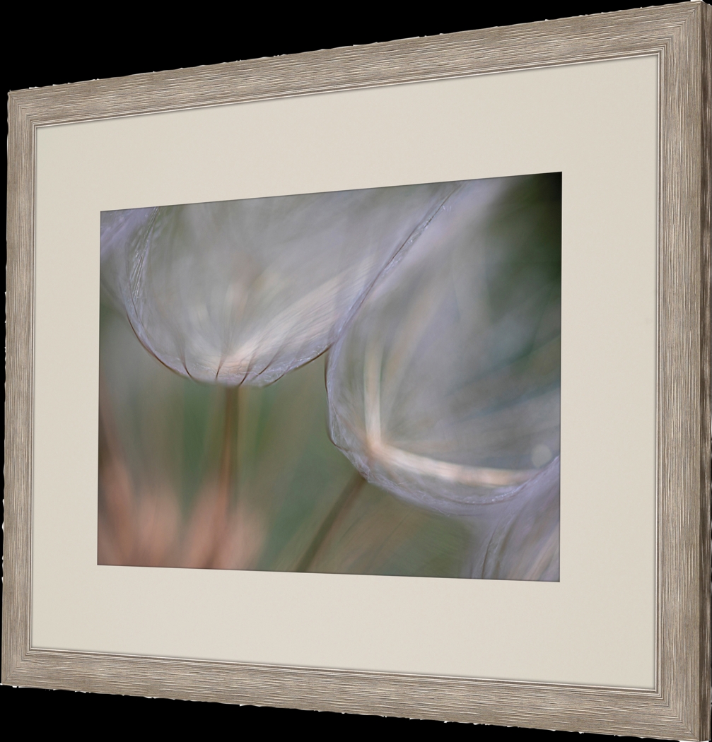 Winded White Framed Artwork - Thumbnail - Image 3